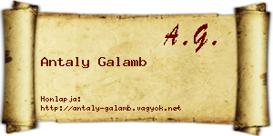 Antaly Galamb névjegykártya